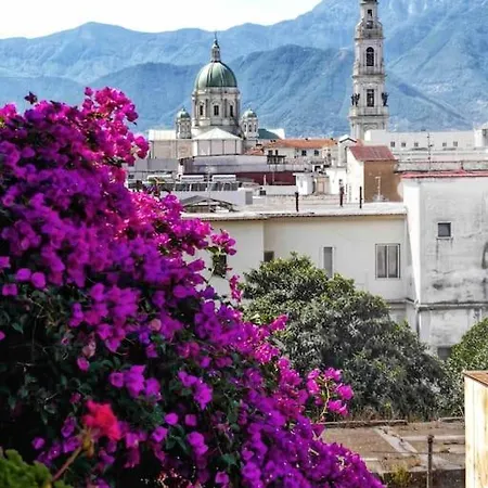 Flat Vesuvio View Near Ruins, Freeparking! Apartment *